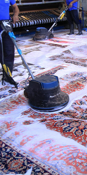 professional rug and carpet cleaners