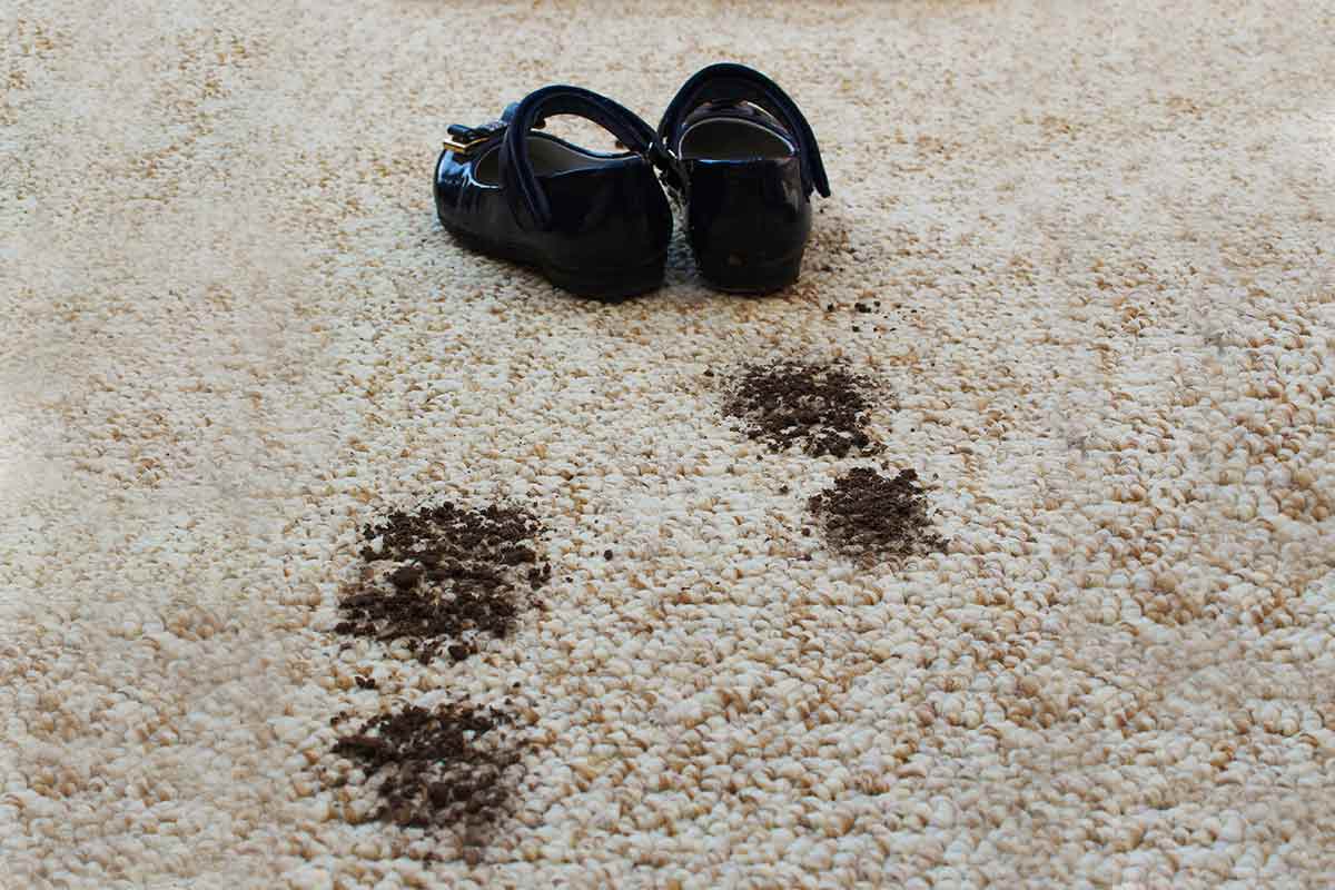 Carpet Rug and Upholstery Protection Services