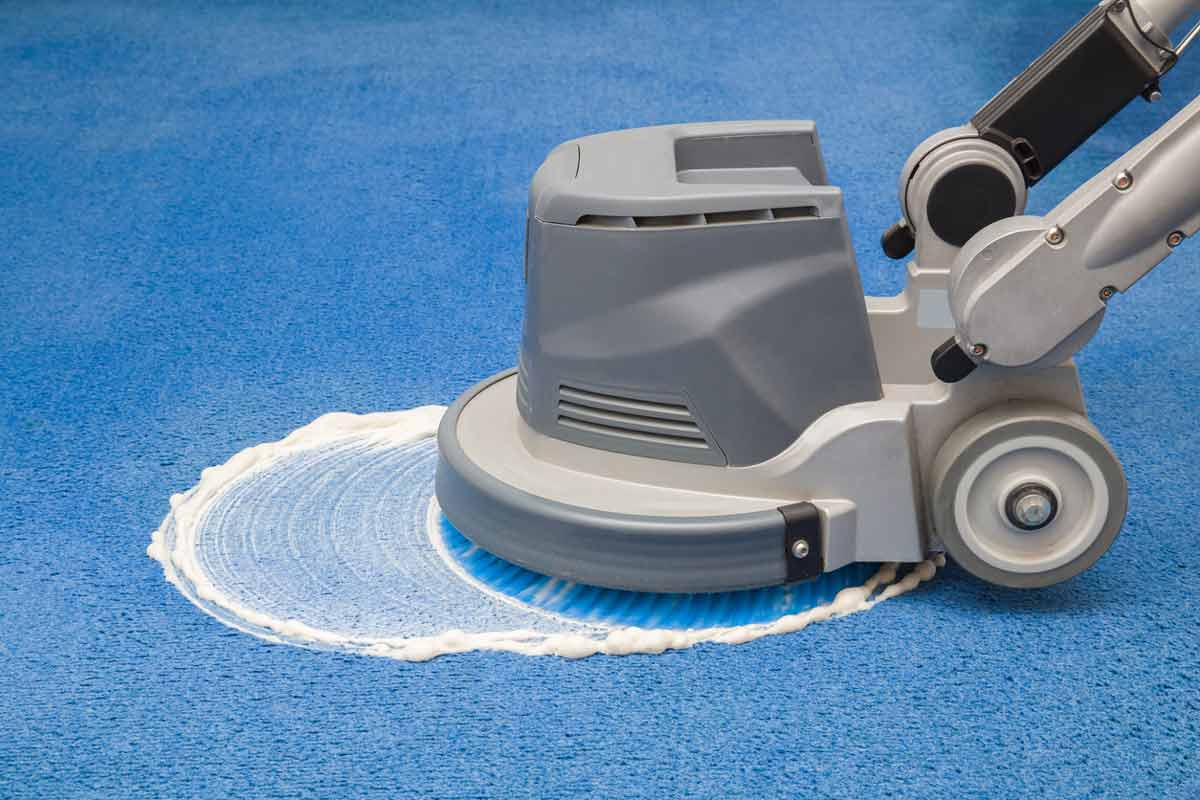 professional carpet cleaning nassau county