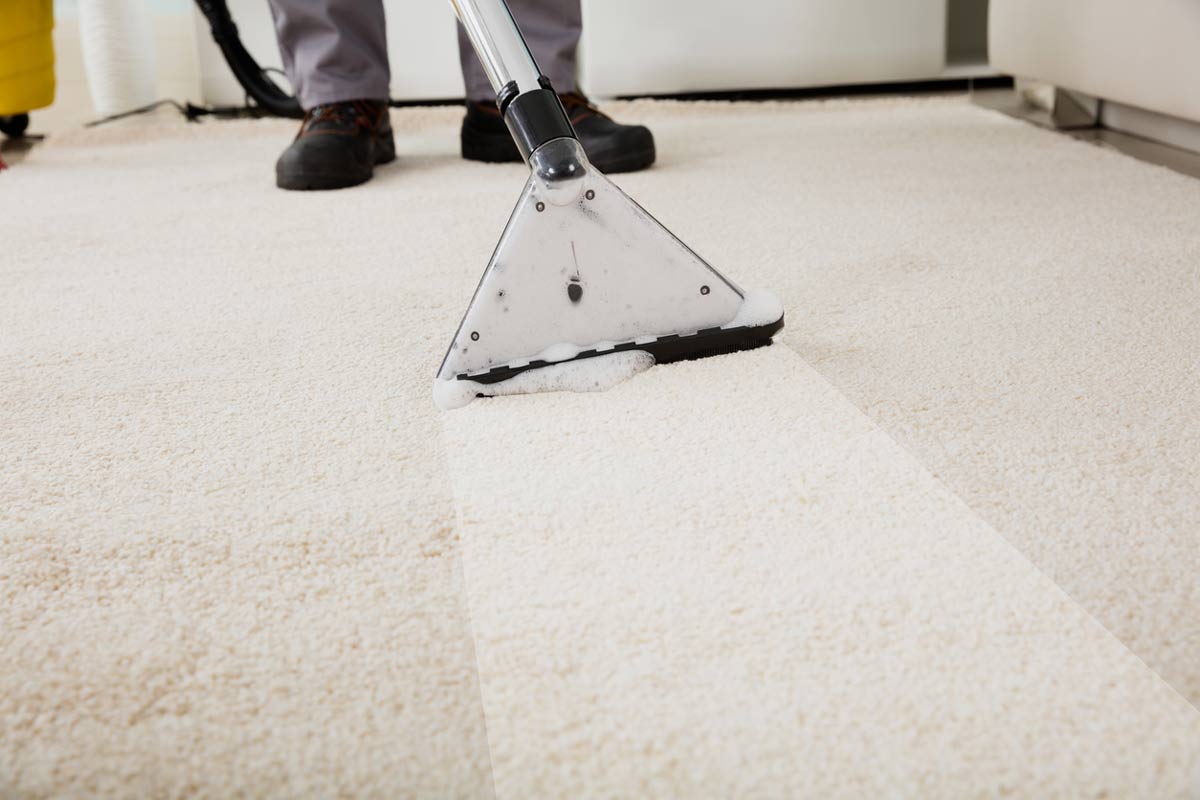 Professional Carpet Cleaning Result