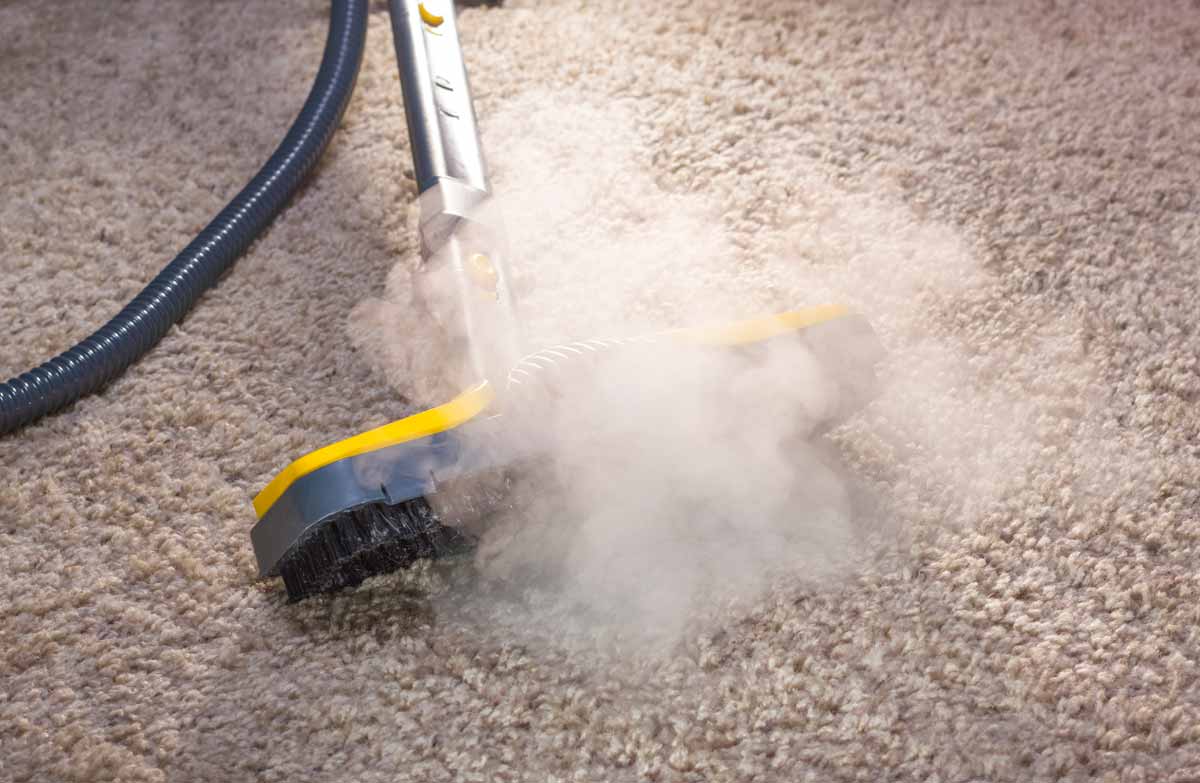 Steam Cleaning Used To Remove Pet Odor And Pet Stains