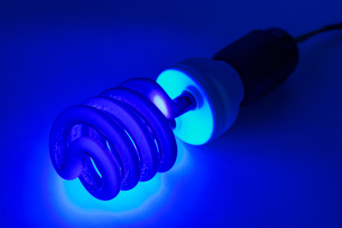 Uv Lights Used to Detect Pet Stains