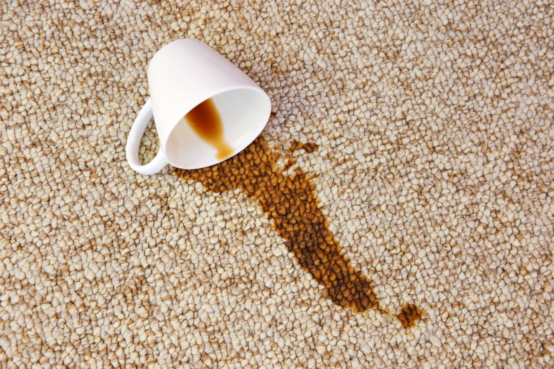 Carpet Cleaning