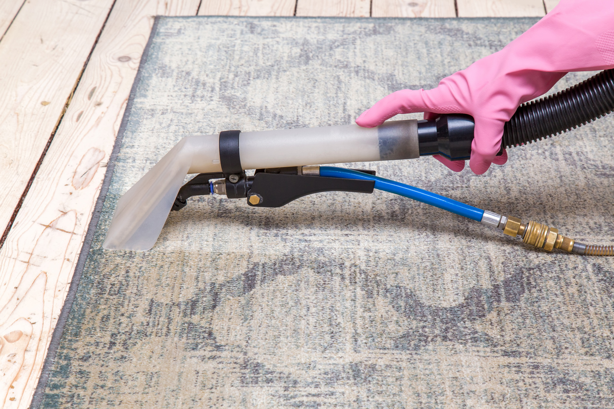 A carpet cleaning expert works diligently in a Long Island home, highlighting the process of restoring carpet cleanliness.
