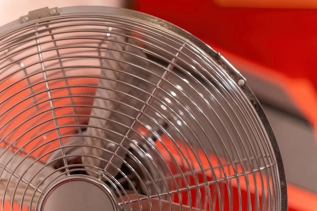 how to dry your carpet after cleaning