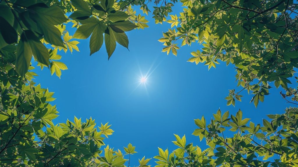 sunlight and fresh air